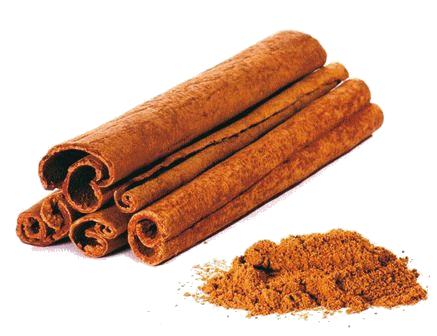 skorica
